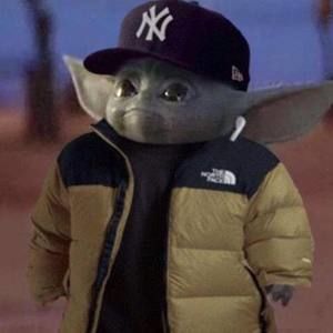 Meet your Posher, Frank